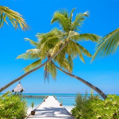 南宫体育app下载