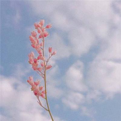 ag亚游APP登陆手机app下载