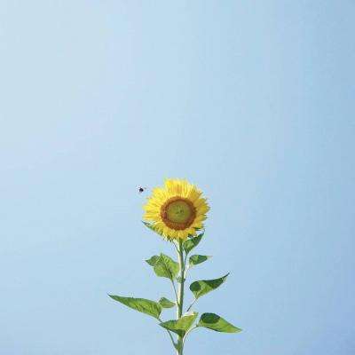 IM电竞平台下载