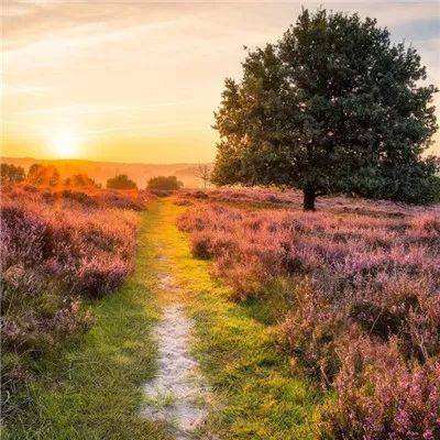 星空体育app下载下载手机版截图